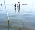 Photo of researchers sampling in the Chesapeake Bay.