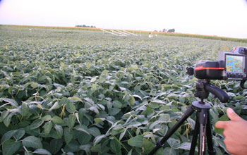 Photo of rows of soybean and a scientist recording a video.