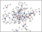 Contact network showing male tortoises (blue nodes), females (red nodes) and burrows (gray nodes).