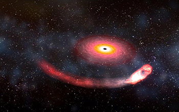 A black hole consuming a neutron star
