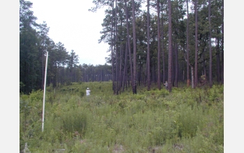 Researchers record the movements of a bluebird along the edge of a forest in South Carolina.