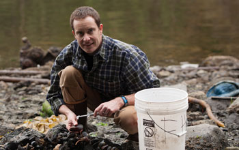 Biologist Michael O'Donnell collects blue mussels on rocky shores at San Juan Island, Wash.