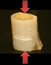 Photo of a rabbit femur bone showing cracks due to compression at a slow rate.