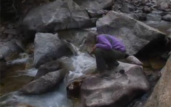 researcher samples water from Boulder Creek