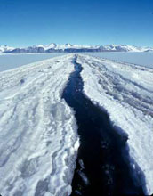 sea ice cracks