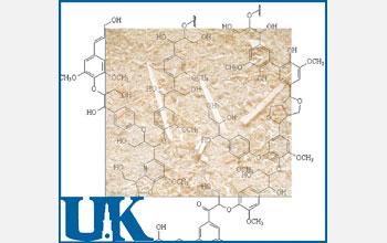 Illustration of the chemical structure of lignin, an energy-rich material in woody plants.