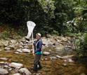 Photo of researcher Nicola Chamberlain smiling as she collects dos machos, two male butterflies.