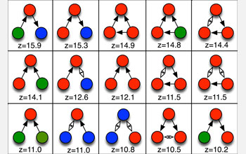 Common patterns of three neurons in the C. elegans neural network.