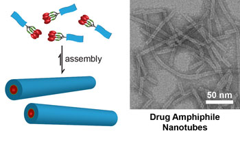 Schematic illustration of the design concept for self-assembling drug amphiphiles