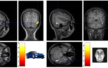 Human Face Recognition Study