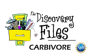 overstuffed filing cabinet with text The Discovery Files