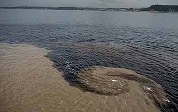 mixing of organic-rich and sediment-rich waters