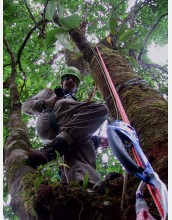 Researcher Carl Bern samples canopy foliage in Costa Rica.