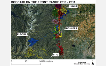 GPS data from bobcats on the Colorado Front Range.
