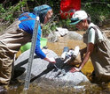 NSF enables volunteer scientists to mount and calibrate aquatic sensors in New Hampshire.