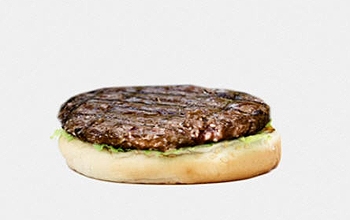 A cooked hamburger patty on top of a bun