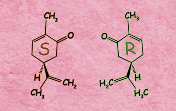 Illustration of 2 Carvone molecules