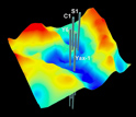 A three-dimensional Bouguer gravity map of the Chicxulub Crater.