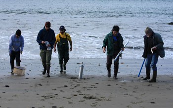 Photo of the sampling team conducting beach surveys after the quake.