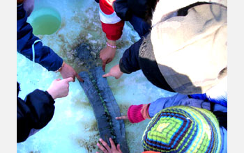 Photo shows children's fingers touching a lake sediment core.