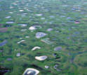 Aerial view of wetlands