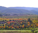 Photo of a Mediterranean landscape.