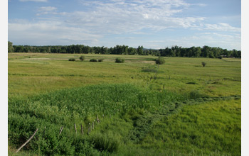 Photo of a grassland.