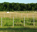 Photo of two 20-meter-diameter BioCON study rings each with two-meter by two-meter plots.