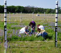 Photo of ecologist Susan Barrott with student research crew.