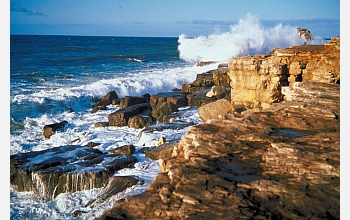 Acid rain is affecting the near-shore, coastal oceans to a great degree.