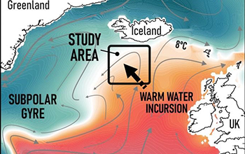 schematic showing the surface circulation of the North Atlantic