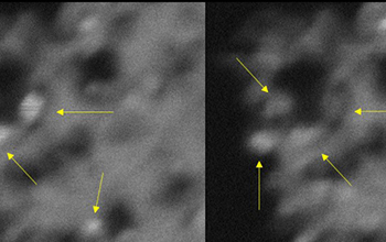 the arrows point to titanium dioxide nanocrystals