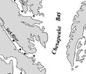 Map of the Chesapeake Bay showing sampling sites with images of stained copepods and ctenophores.