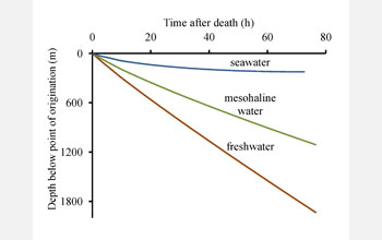 Graph of time after death of copepod versus depth below point of origination as function of salinity