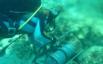 Diver deploying a metal pH sensor near coral reef