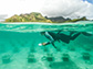 Cody Clements surveys rows of coral gardens