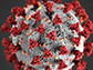 Biologists using supercomputer simulations to analyze the coronavirus