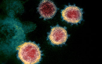 coronavirus spread