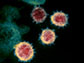 COVID-19: Researchers to model coronavirus for spread mitigation