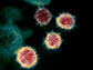 coronavirus spread