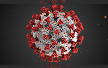 Ultrastructural morphology exhibited by coronaviruses