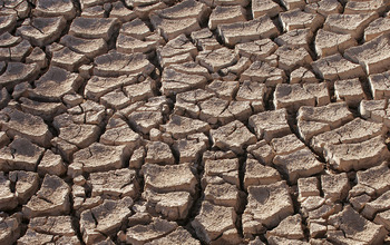 Cracked, dry earth