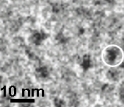 Laboratory-grown zeolites appear to form in a hierarchical, steep-bystep fashion.