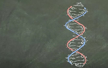 DNA double helix drawn on chalk board