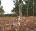 Dirk Baker releasing seeds near a forest