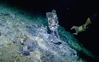 The Apollo Vent Field at the northern Gorda Ridge, where samples were collected.