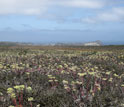 Photo of the ranger station on San Miguel Island.