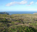 Photo of a Channel Islands landscape.