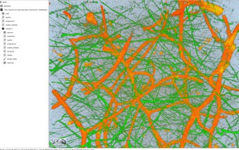 screenshot of tool that maps connections between neurons with an image of a macaque brain