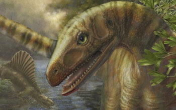 showing an artist depiction os Asilisaurus